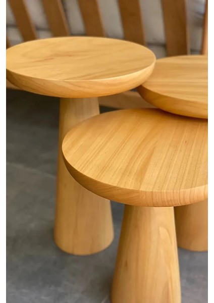 Mantar Sehpa Natural modelleri