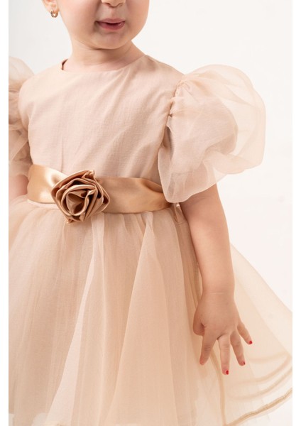 Organze Balon Kollu Kabarık Kız Çocuk Abiye Elbise indirimleri