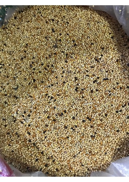 Muhabbet Kuşu Yemi fiyatları