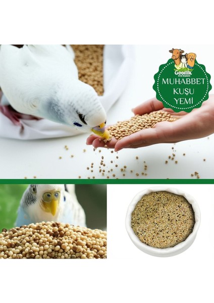 Muhabbet Kuşu Yemi modelleri