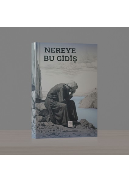 Nereye Bu Gidiş - Muhammet Uğur