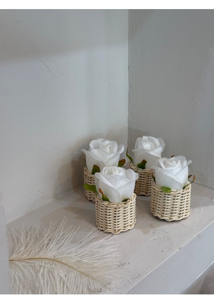 4'lü Rattan Kahve Yanı Gül Sunumluk Seti fırsatları