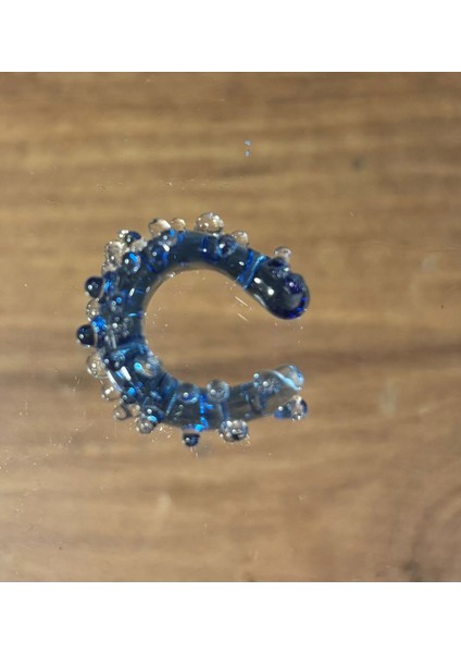 Cam Kıkırdak Küpe fiyatları