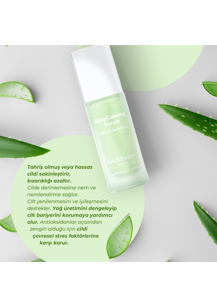 Deep Calming Serum Aloe ve Spirulina Derinlemesine Cilt Yatıştırıcı Sakinleştirici Serum Kore 40ml fırsatları