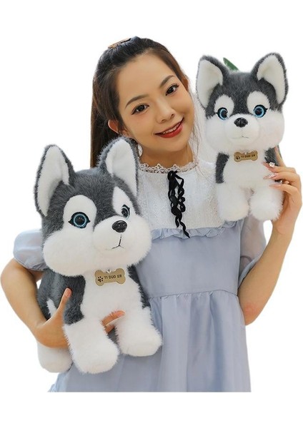 Husky Peluş Oyuncaklar Köpek Bebek Dorky Erha Bebek Simülasyon Köpek Yavrusu Bez Bebek Çocuk Hediyeleri (Yurt Dışından)