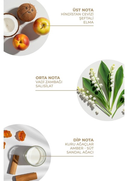 Body Mist / tropical Dream 100 ml fiyatları