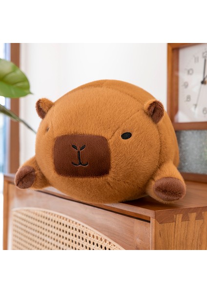 35CM Yuvarlak Top Su Yunusu Peluş Oyuncak Bebek Bebek Yastık Hediye (Yurt Dışından)