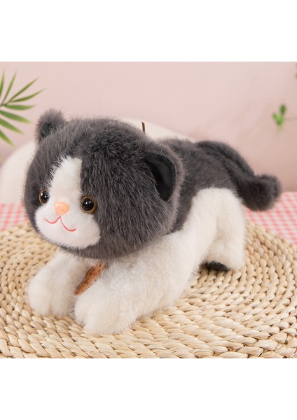 60CM Sevimli Kedi Peluş Oyuncak Bebek Bebek Yastık Hediye (Yurt Dışından)