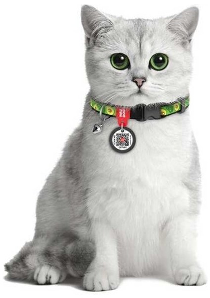Collar Qr Pasaportlu Kedi Boyun Tasması 20-30 cm 10 mm "avocado" fiyatları