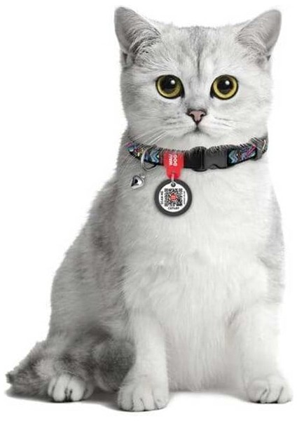 Collar QR Pasaportlu Kedi Boyun Tasması 20-30 Cm 10 MM "Watermelon" fiyatları