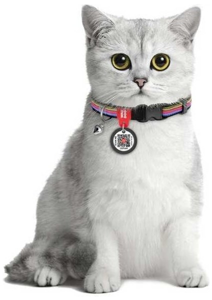 Collar Qr Pasaportlu Kedi Boyun Tasması 20-30 cm 10 mm "line" fiyatları