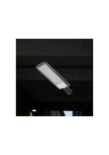 150W Sokak Armatürü CT-4682