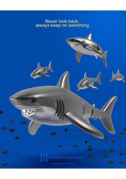 Moving Shark Anahtarlık modelleri