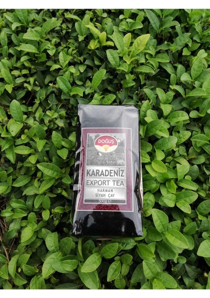 Export Karadeniz 500 gr 10 Adet 1 Koli