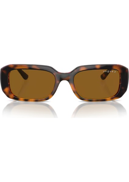 5565S W65683 53 Kadın Güneş Gözlüğü fiyatları