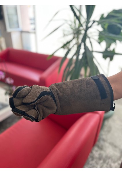 Kedi Tutma Eldiveni. Diş Geçirmez. 1 Çift indirimleri