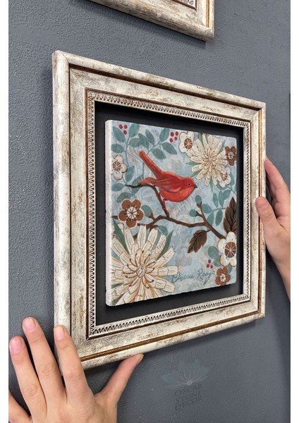 Renkli Kuş Temalı Çerçeveli Duvar Tablosu 30X30 cm modelleri