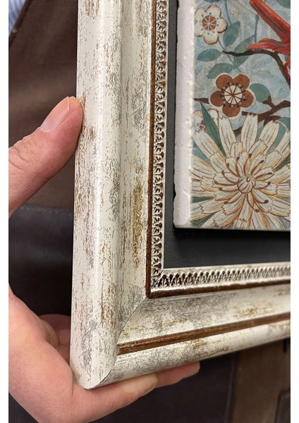 Renkli Kuş Temalı Çerçeveli Duvar Tablosu 30X30 cm indirimleri