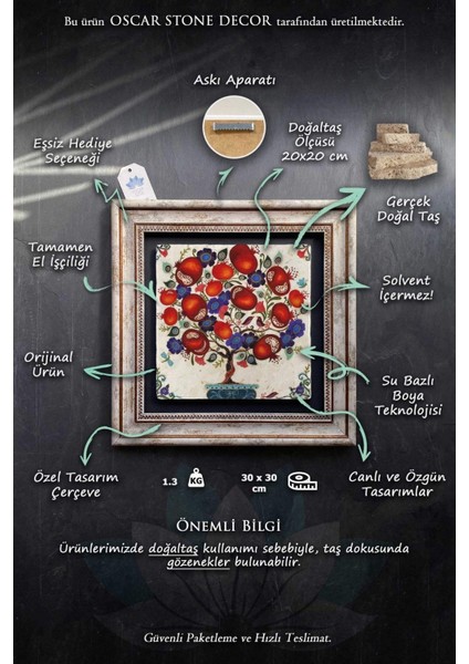 Renkli Kuş Temalı Çerçeveli Duvar Tablosu 30X30 cm