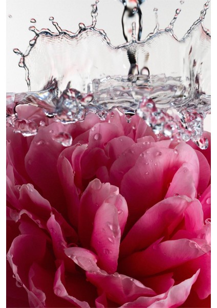 Petal Bloom Alüminyumsuz Tüm Vücut Stick Deodorant 85GR indirimleri