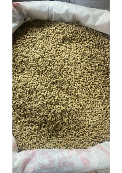 Tavuk Yumurta Yemi Pelet – Doğal, Dengeli ve Verim Artırıcı Yem