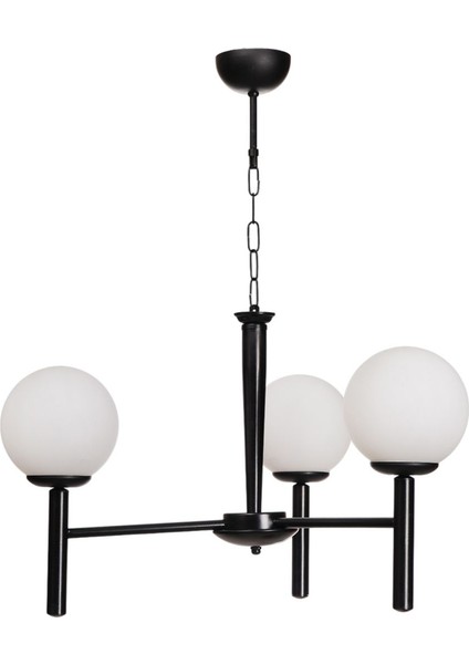 Luke 3 Lü Siyah Beyaz Camlı Avize fiyatları