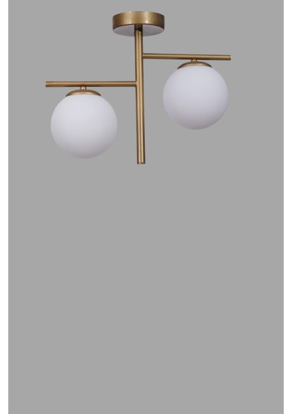 Terra 2 Li Eskitme Beyaz Camlı Plafonyer Avize modelleri