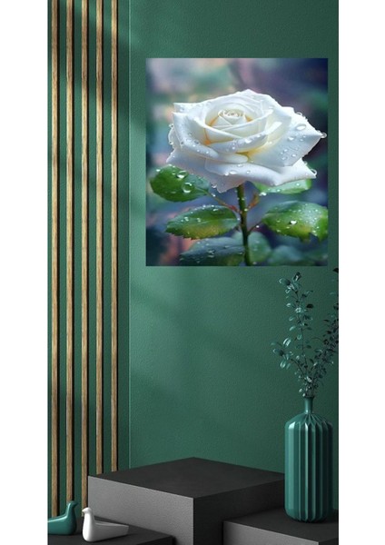 Beyaz Gül Canvas Tablo Ev Salon Duvar Dekarasyon Kanvas Ölçü Seçmeyi Unutmayınız :)