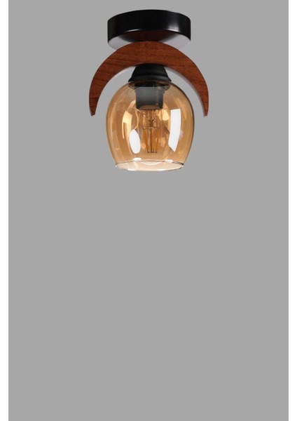 Helena Tekli Bal Camlı Plafonyer Avize modelleri