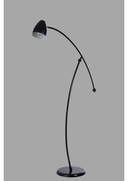 Zümra Siyah Lambader Frank Siyah Başlıklı modelleri