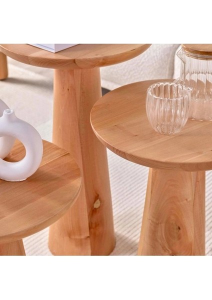 Mantar Sehpa Natural Yan Sehpa modelleri