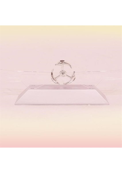 Dekoratif Masa Üstü Obje Manyetik Kinetik Orbital Dönen Yunuslar