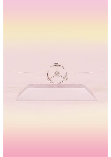 Dekoratif Masa Üstü Obje Manyetik Kinetik Orbital Dönen Yunuslar fırsatları