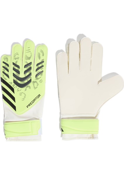 Yeşil Kaleci Eldiveni PRED GL TRN JN5356