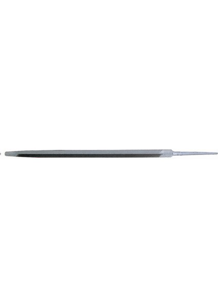 Aslan Eğe Slim 4,5