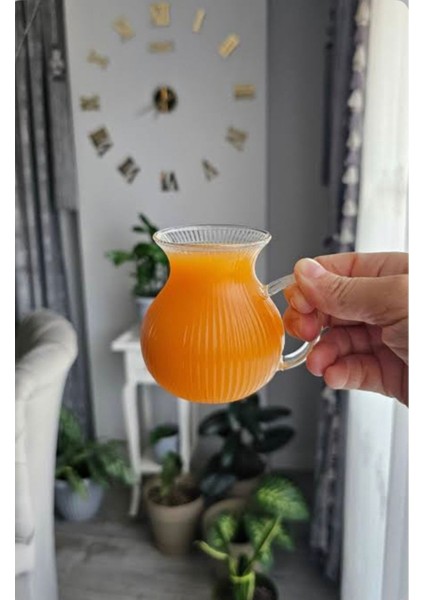 6'lı Ala Çizgili Borosilikat Cam Çay Bardağı 220ML Kulplu Set fiyatları