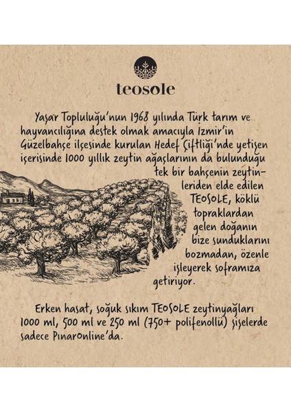 Naturel Sızma Zeytinyağı 1000 ml x 3 Adet modelleri