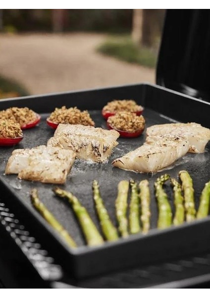 SLATE™ GP 56 cm Premium Griddle (Taşınabilir Gaz Plancha) indirimleri