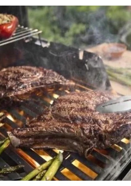 SPIRIT EP‐425 Gazlı Barbekü Mangal fırsatları