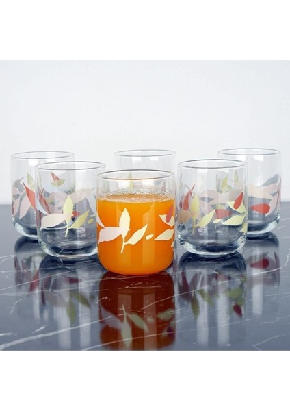 Renkli 6'lı Meşrubat Bardağı Seti, Şık ve Kullanışlı Tasarım indirimleri