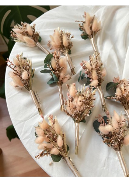 10 Adet Damat Yaka Çiçeği Sağdıç Çiçeği Pembe fiyatları