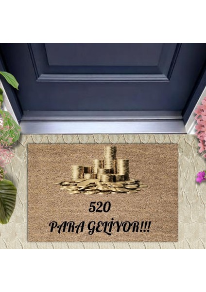 Kapı Önü Paspası Dekoratif Dijital Baskı 520 Para P-2480