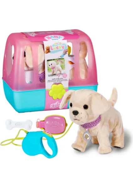 Köpeğim Lucky fiyatları