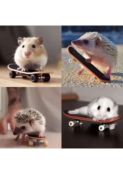 Hamster ve Kaplumbağa Için Mini Kaykay modelleri