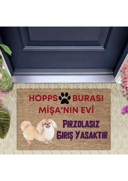 Kapı Önü Paspası Dekoratif Dijital Baskı Hopps P-2474
