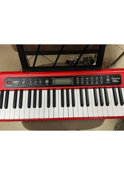 Bolt A828RD 61 Tuşlu Tuş Hassasiyetli 5 Oktav Org modelleri