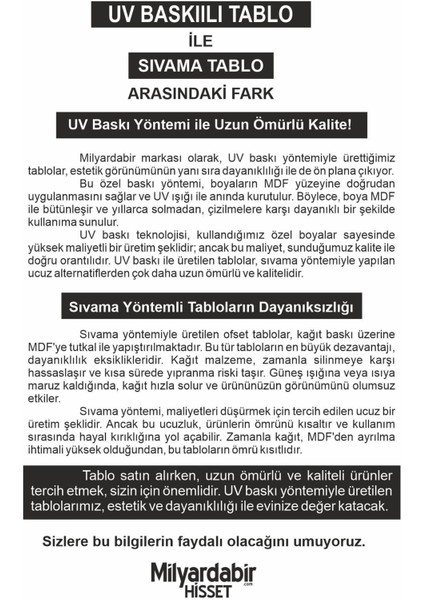 Pozitif Enerji Dolu 12 Parça Renkli Mdf Tablo Setiyle Evinizi Güzelleştirin modelleri