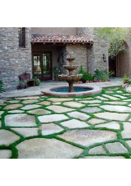 Kayrak Taş Yer Döşeme Kayrak Taş Yer Döşeme Düz Bahçe Patika Yol Şömine Tandır Önü Dekorasyon modelleri