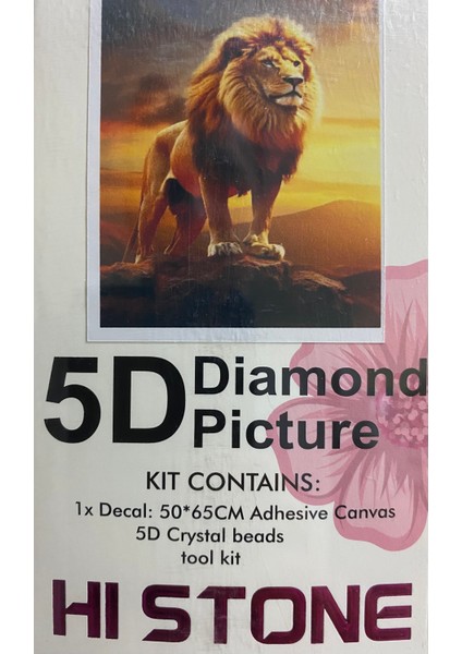 5d Yapışan Boncuk Goblen Mozaik Tablo Pano 50*65 cm 87023