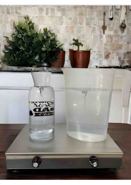 Manyetik Karıştırıcı Ikili Paslanmaz Çelik 2 Adet 6X20 mm Manyetik Balık fiyatları